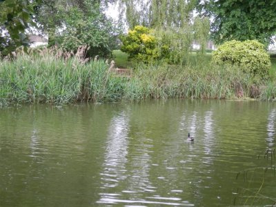 Hatherley Park