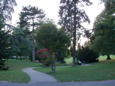 Hatherley Park at dusk