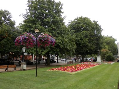 Cheltenham in Bloom