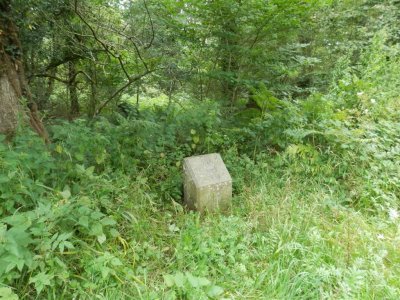 Stone 14 probably - look who wasn't paying enough attention!