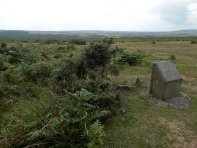 Stone number 9