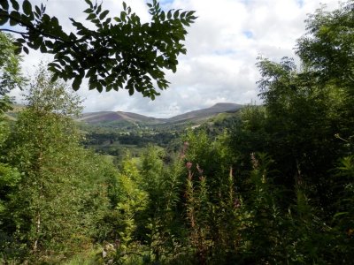 Glimpse of the view down to Craig y nos