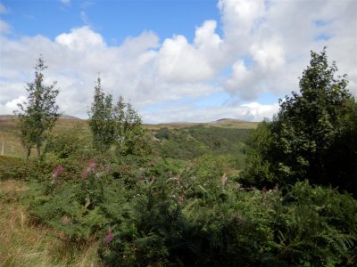 P8231611