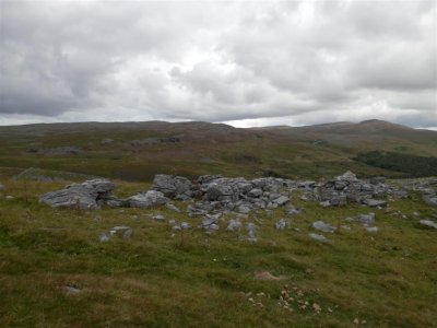 P8231624