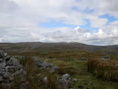 P8231631 