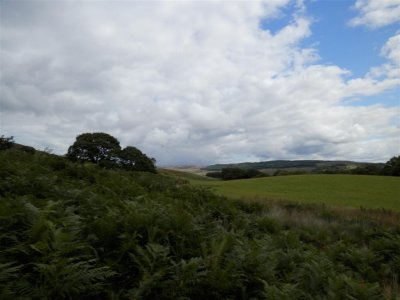 P8231664 