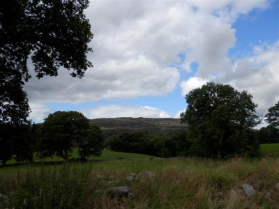 P8231699 