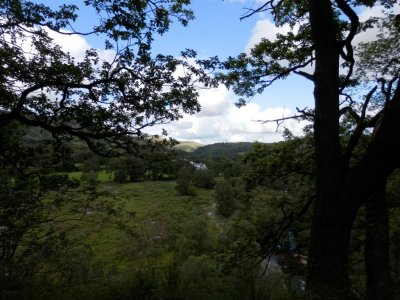 P8231706