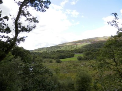 P8231711 