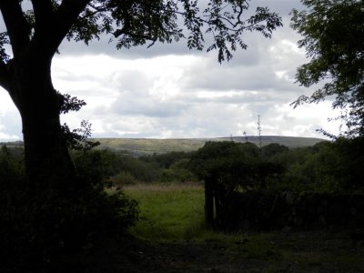 P8231718