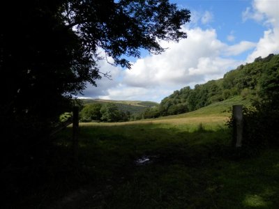 P8231724