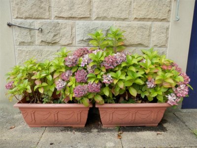 Last year's troughs still looking good