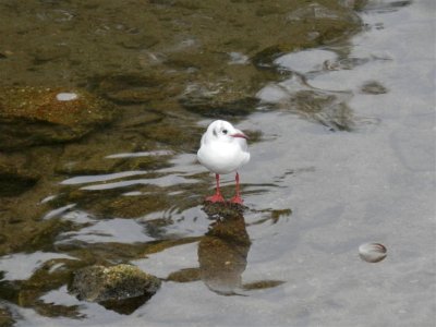 I'm posing too!