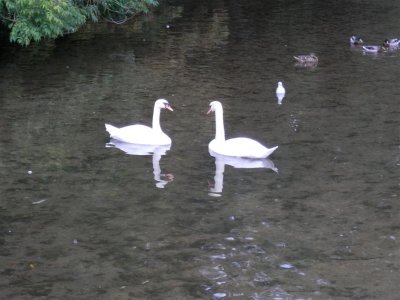 P9130151