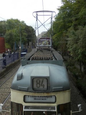 P9140226 (Medium).JPG