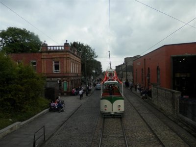 P9140229 (Medium).JPG
