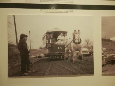 P9140269 (Medium).JPG