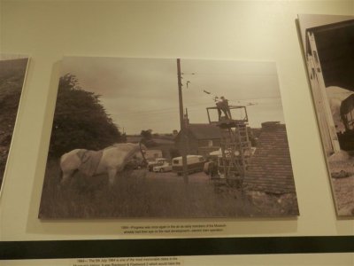 P9140270 (Medium).JPG