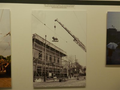 P9140277 (Medium).JPG