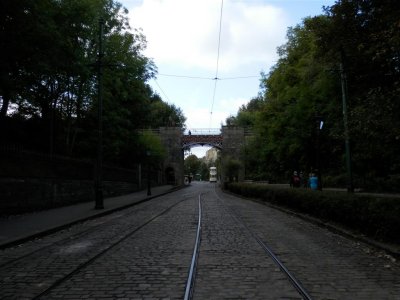 P9140304 (Medium).JPG
