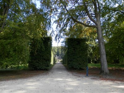 P9160364 (Medium).JPG