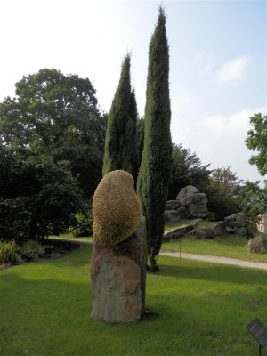 P9160487 (Medium).JPG