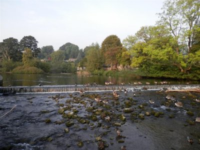 Evening stroll by the river Wye