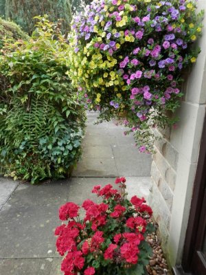 Flowers by entrance to Garden Wing
