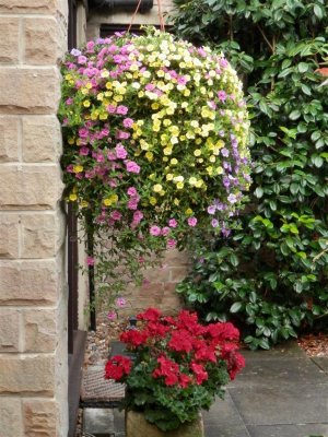 Tannery House garden
