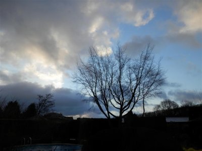 Christmas Day morning sky