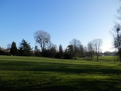 Hatherley Park tree view