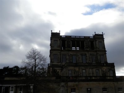 P2180788 (Medium).JPG