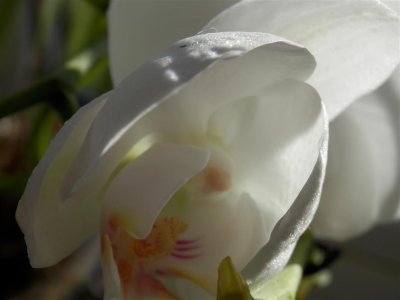 P2260919