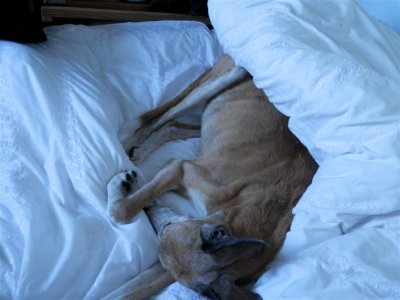 and snuggled happily in