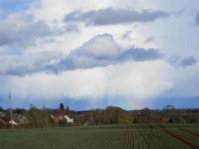 Rainbow light