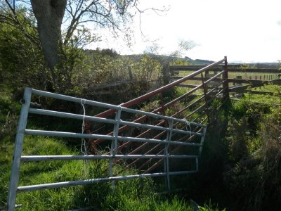 Juxtaposed gates