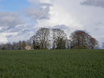 P4292209 