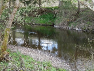River Whiteadder