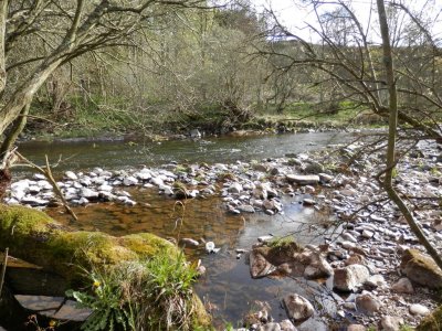 River Whiteadder