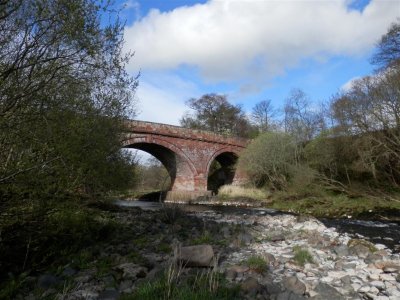 P4292239