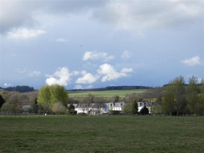 P4292256