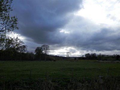 P4292273 