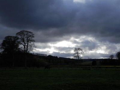 P4292275 