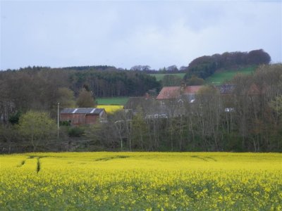 P4292280 