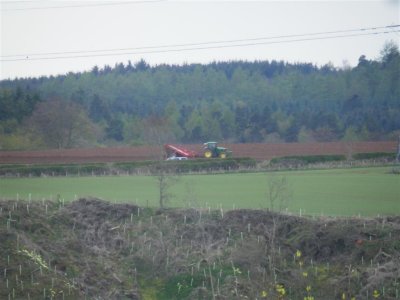 Potato planting probably