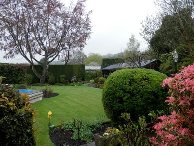 Tannery House garden, early morning rain
