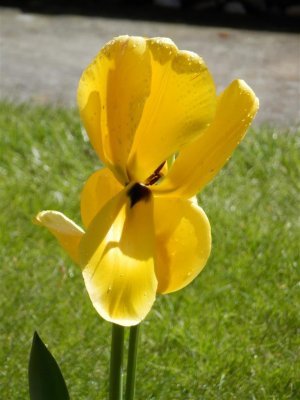 P5032362