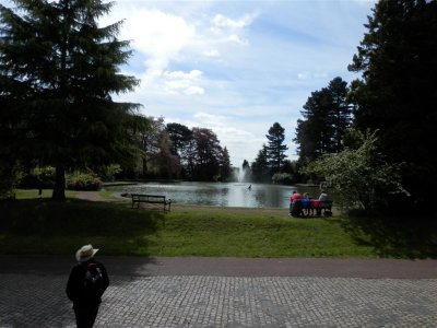 Cooling Pond
