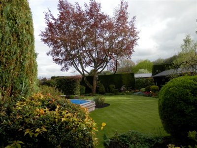 Tannery House garden, Weds pm