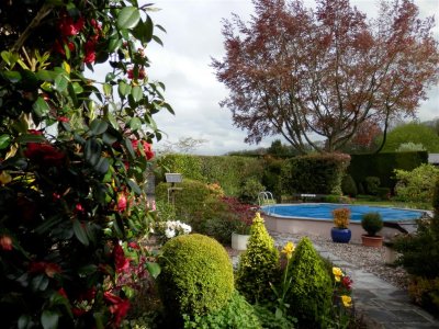Tannery House garden, Weds pm